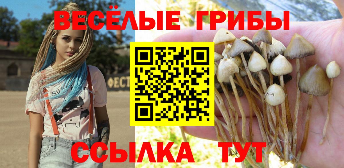 Псилоцибиновые грибы ЛСД  Галлюциногенные грибы Magic Shrooms  Татарск  Вход с VPN 